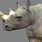 Модели носорога.